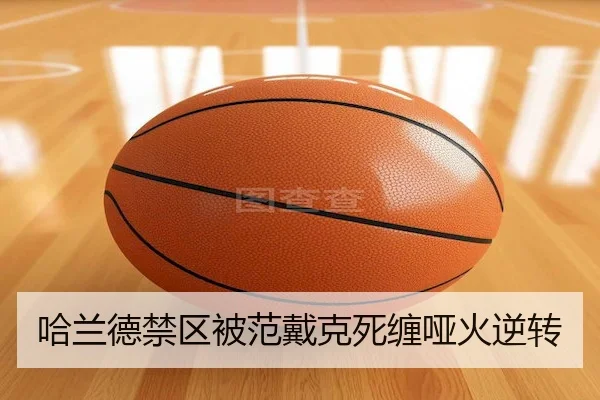 哈兰德禁区被范戴克死缠哑火逆转